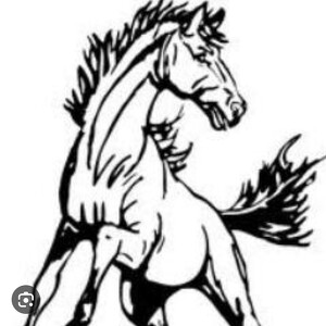 Farnsworth Mustangs (10:00 wave)